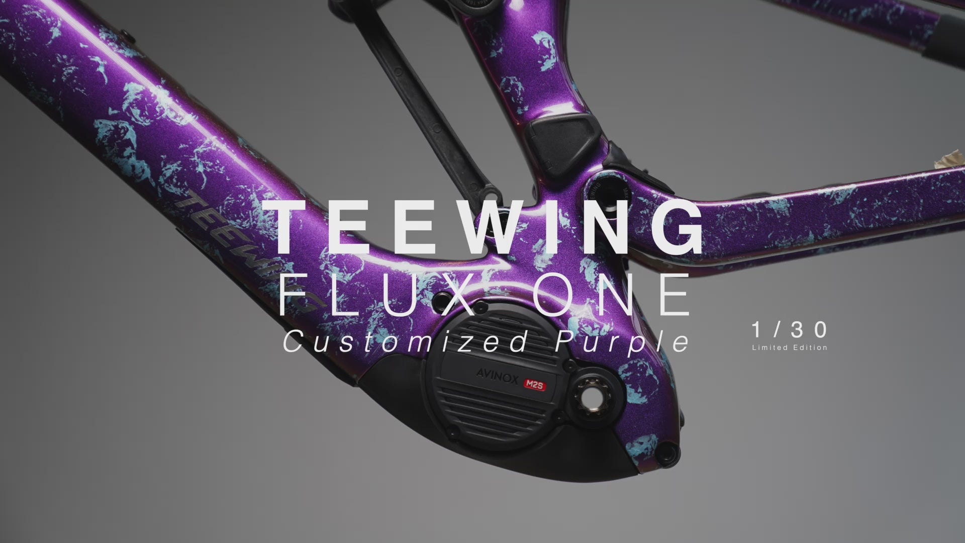Teewing Turbo Force Large Frame Blue/Purple  M2S Avinox 800Wh